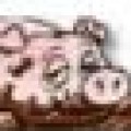 Avatar für Piggy