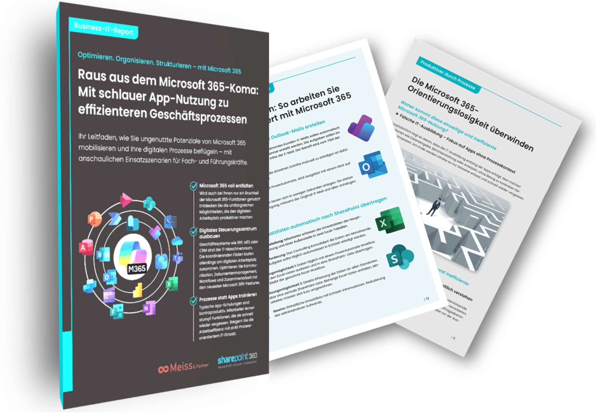 Neues Whitepaper: 'Raus aus dem Microsoft 365-Koma – prozessorientierter App-Einsatz statt nutzloser User-Schulungen'