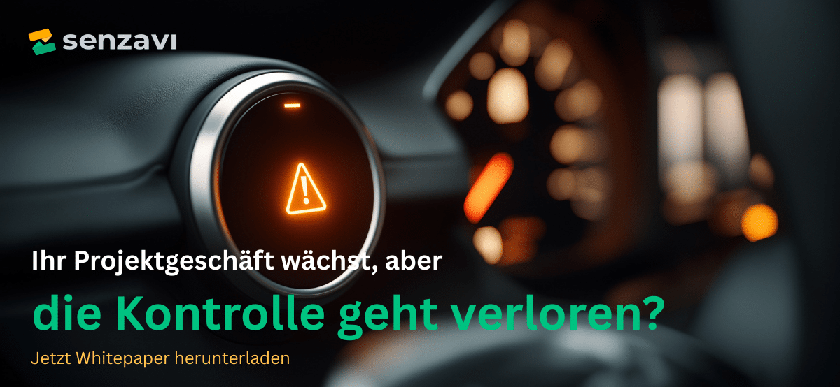 Whitepaper: 5 Tipps gegen Fallstricke im Multiprojektmanagement e mail banner whitepaper