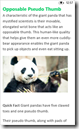Windows Phone 8 -  Word im Lesemodus